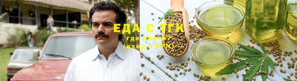 дурь Гусев