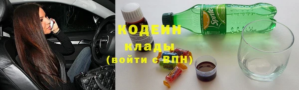 шишки Гусь-Хрустальный