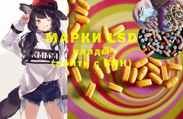 шишки Гусь-Хрустальный