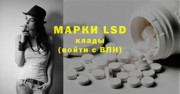 дурь Гусев
