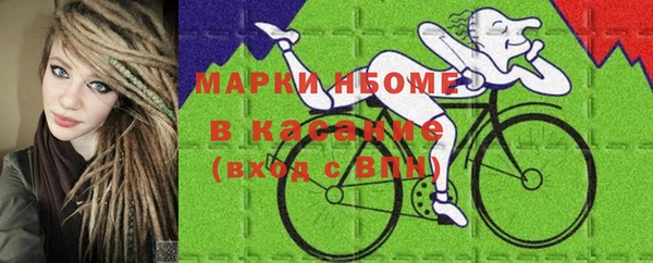 шишки Гусь-Хрустальный