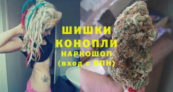 шишки Гусь-Хрустальный