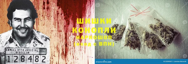 шишки Гусь-Хрустальный