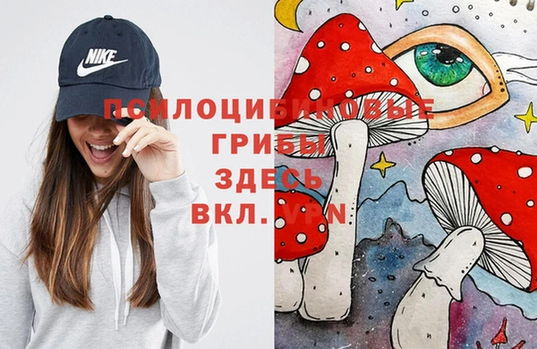 шишки Гусь-Хрустальный