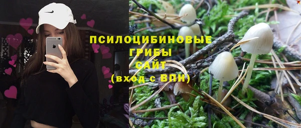 шишки Гусь-Хрустальный