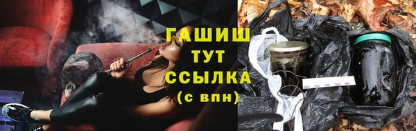 шишки Гусь-Хрустальный